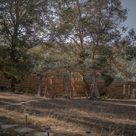מלון Shitlakhet Nayalap - Rural Himalayan Glamping מראה חיצוני תמונה